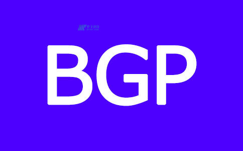 BGP服务器如何与其他网络协议交互？